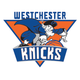 Image for article titled We Made Some Improvements To The Knicks' New D-League Team's Logo